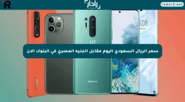 «تحديث يومي» سعر الريال السعودي اليوم مقابل الجنيه المصري في البنوك الآن
